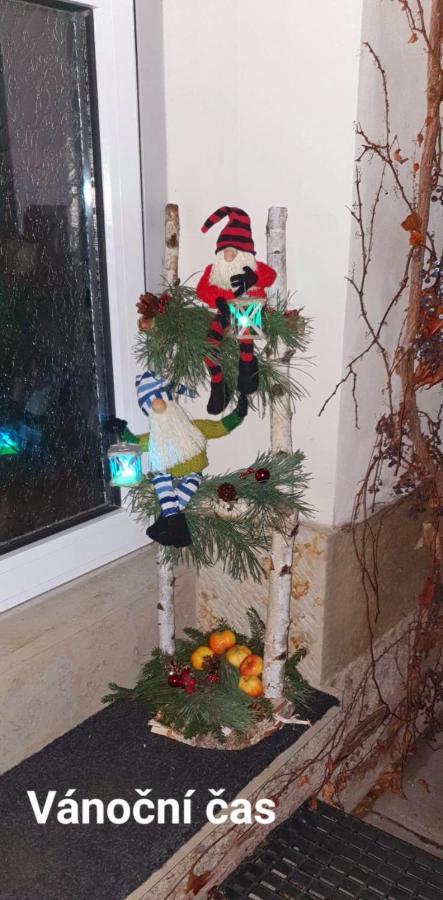 Apartman U Jakuba Dvůr Králové nad Labem Buitenkant foto